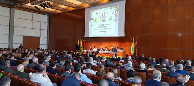 Consumi in aumento di frutta e verdura