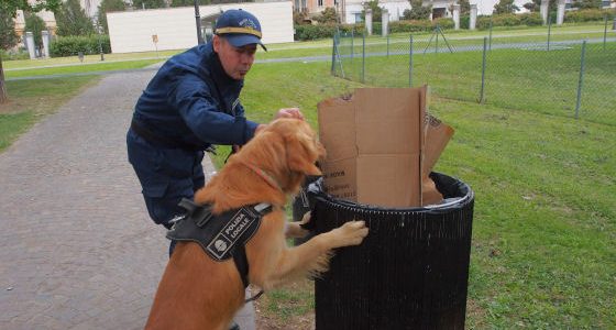 buddy cane antidroga